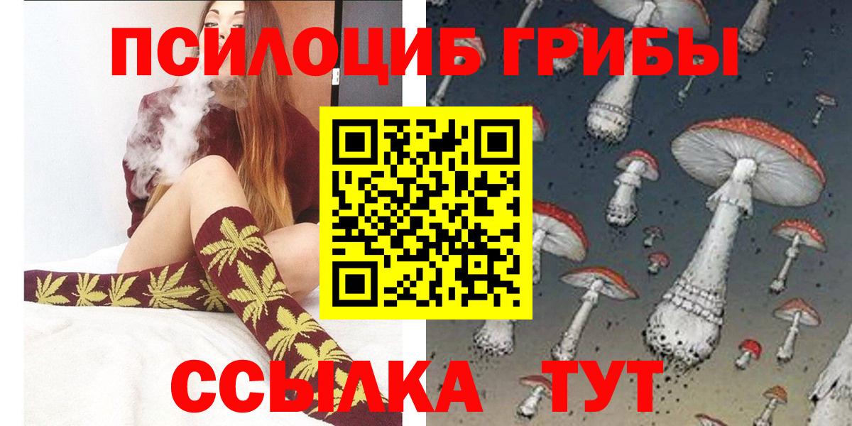 Пыть-Ях  Галлюциногенные грибы Psilocybine cubensis  Вход с VPN 