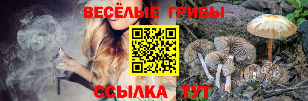 Псилоцибиновые грибы Psilocybine cubensis Пыть-Ях